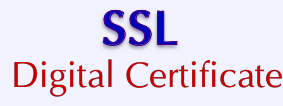 VPS v2: SSL: Digital Certificate