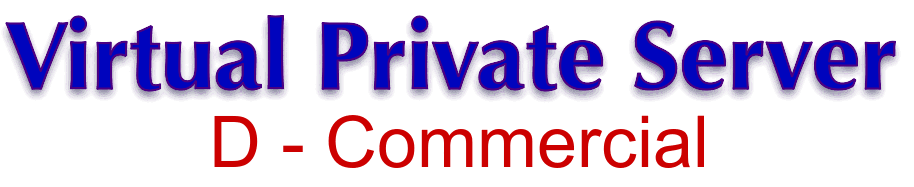 Virtual Server D