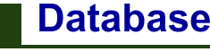 Database