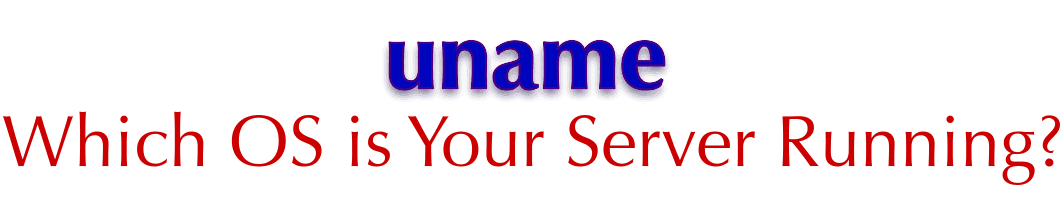 uname: Which OS is Your Server Running?