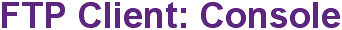 FTP Client: Console
