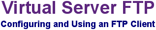 FTP Client