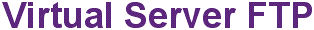Virtual Server FTP