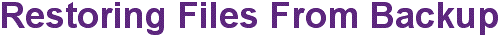 Getback: Restoring Files from Backup